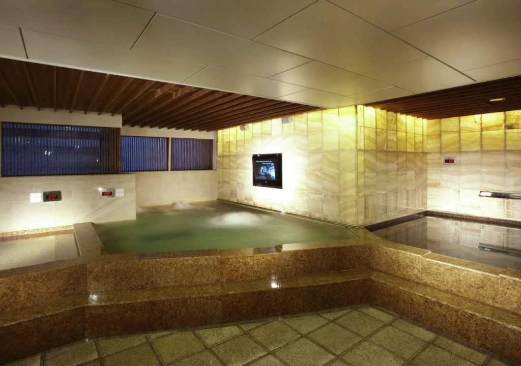 Novotel Ambassador Seoul Gangnam - Général