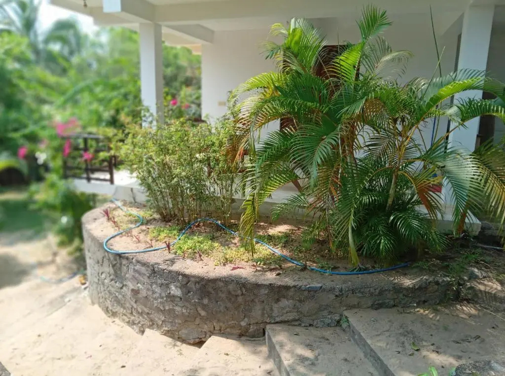 East Surf Cabanas - Chambres