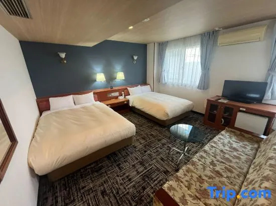 Standard Double room (twin beds)