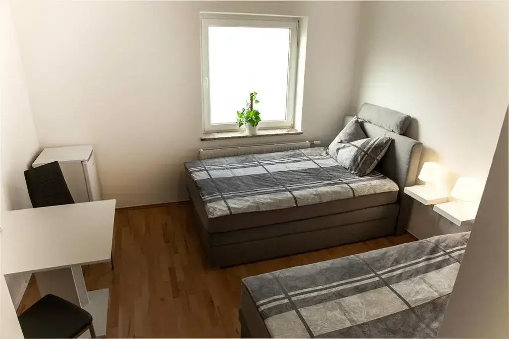 Standard Double room (full double bed)