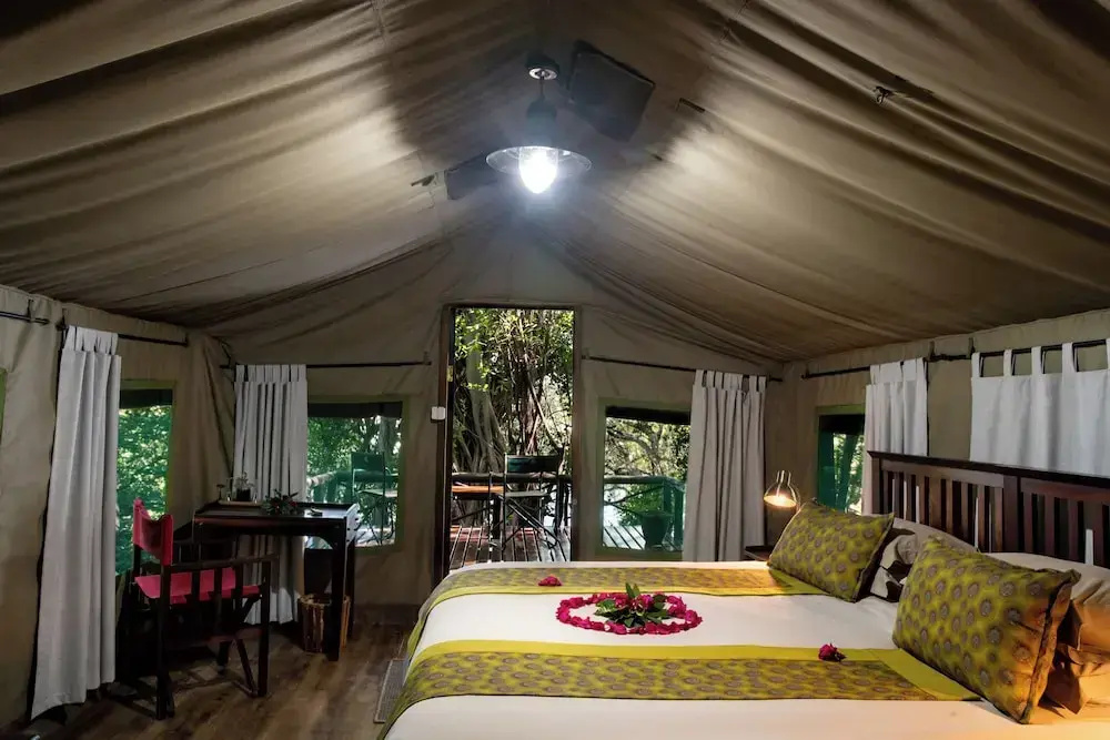 Tent with river view (single bed)