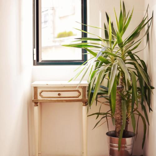 Lisbon Story Guesthouse by null