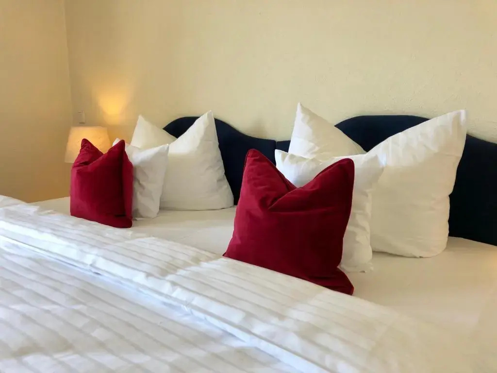 Comfort Double room full double bed
