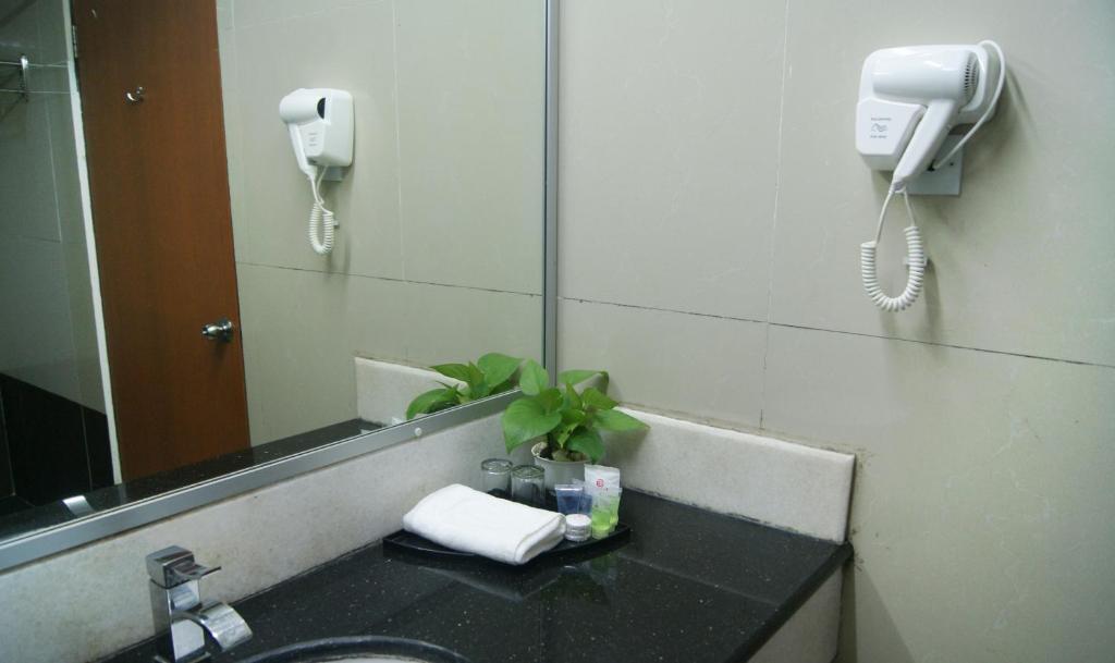 Tang Dynasty Park Hotel