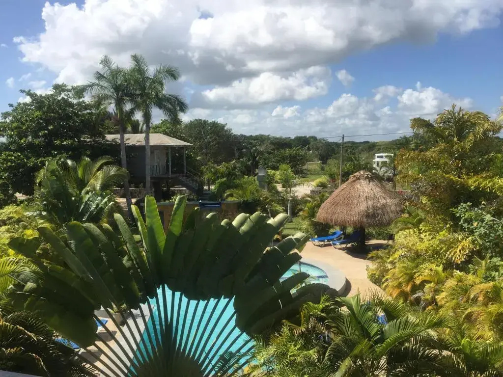 Almond Tree Hotel Resort - Chambres