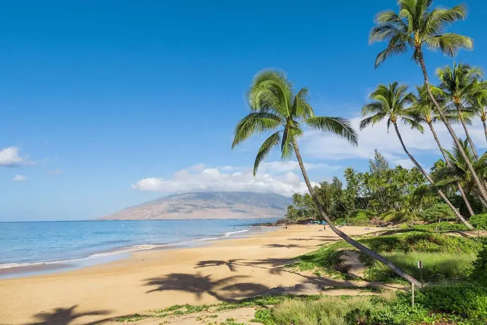 Beach & Waterfront