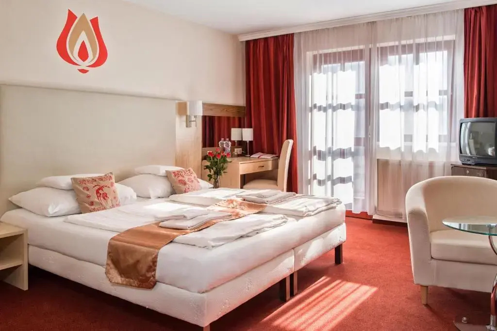 Standard Double room (full double bed)