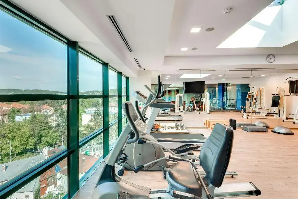 DoubleTree by Hilton Cluj – City Plaza - Général