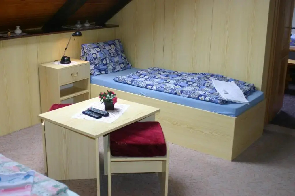 Pension U Vlášků - Chambres