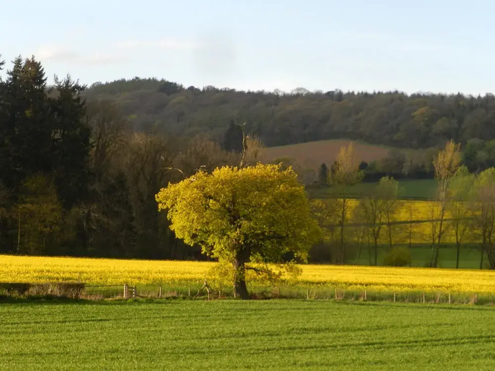 Comfy 4m -bed Bell Tent With Great Views