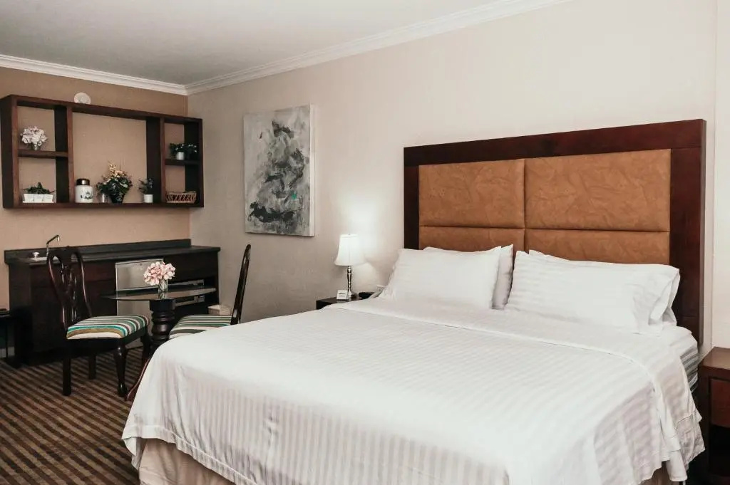 Holiday Inn Durango by IHG - Chambres