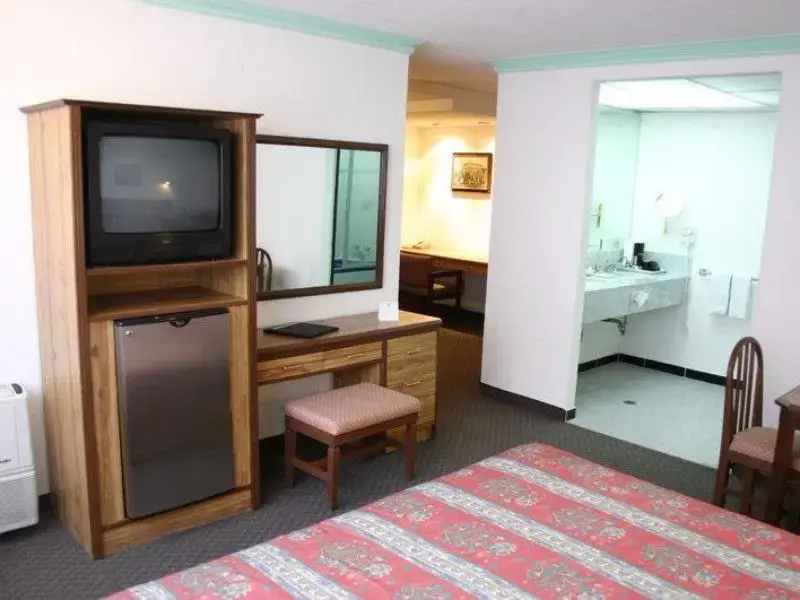 1 Bedroom Suite