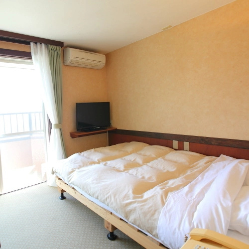 Standard Double room with mountain view (full double bed)
