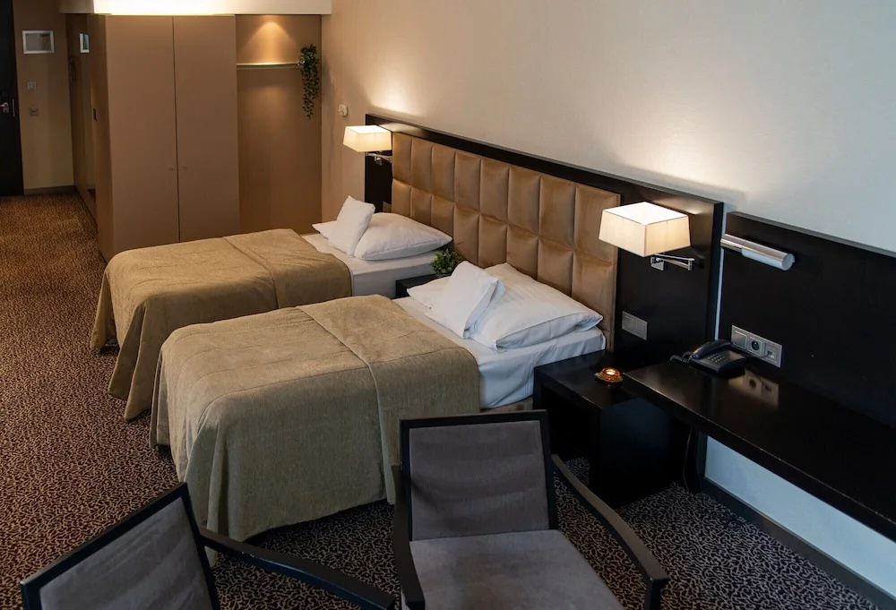 Business Double room (full double bed) (bed type is subject to availability)