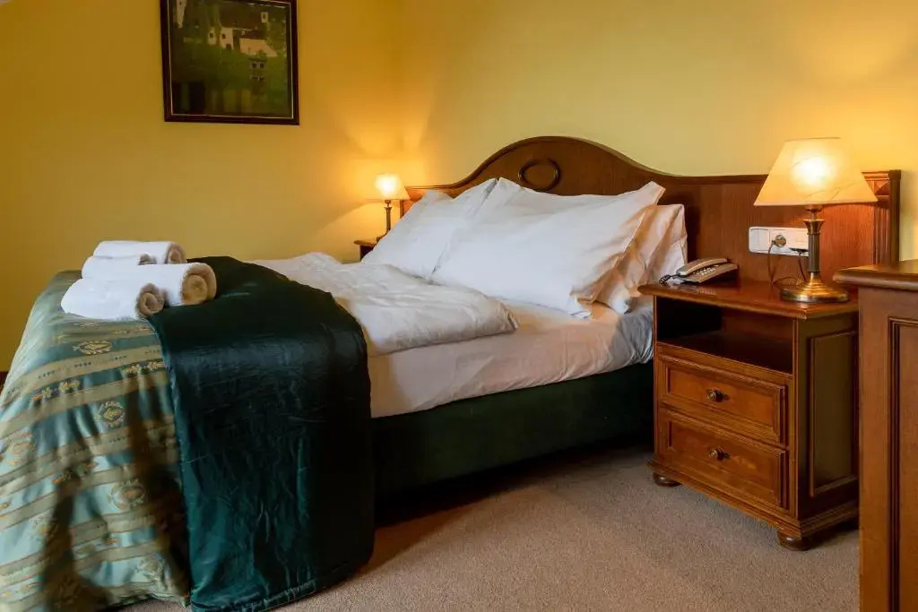 Darovanský Dvůr - Wellness & Golf Hotel - Chambres