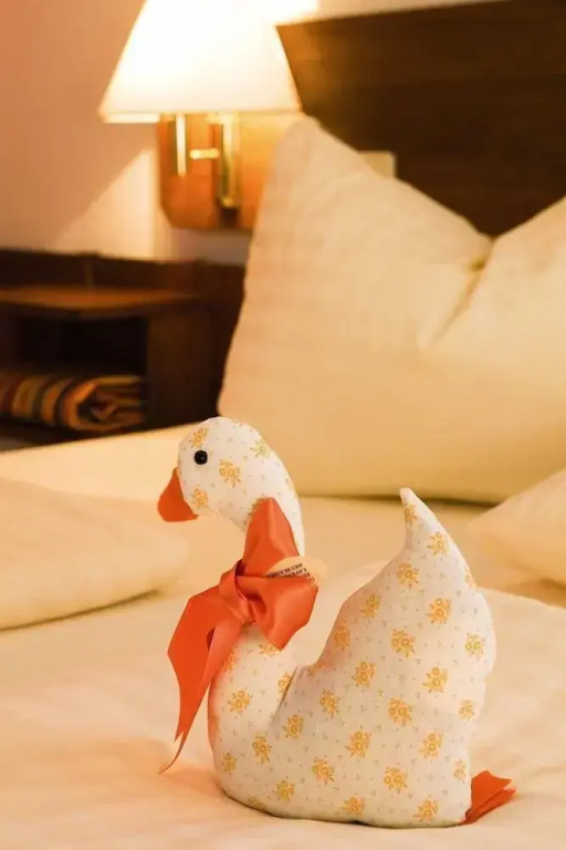 Sonnenresort Ossiacher See - Chambres