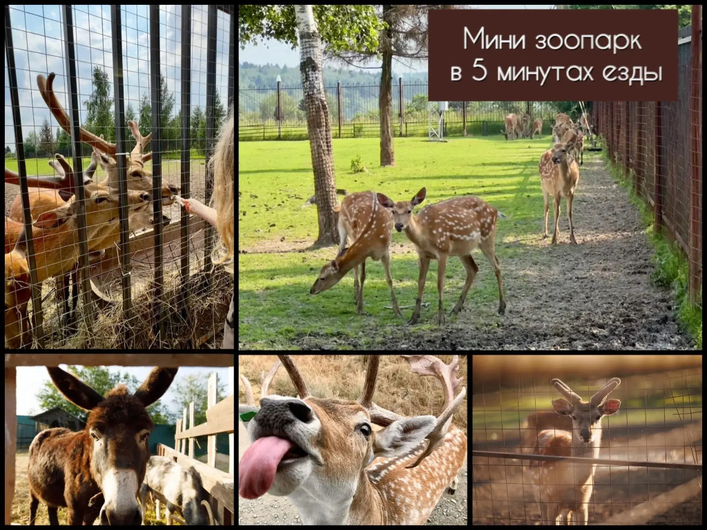 Счастье - фото 10