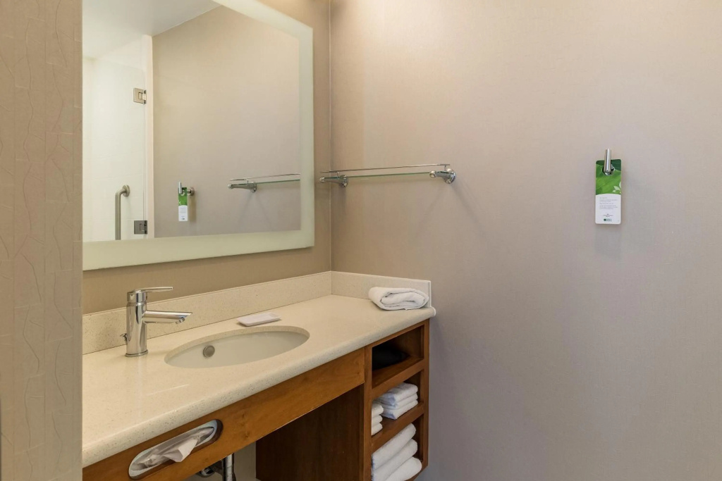 SpringHill Suites Houston Rosenberg - Général