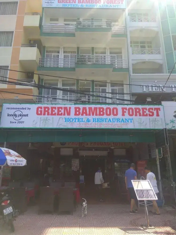 Green Bamboo Forest Cat Ba