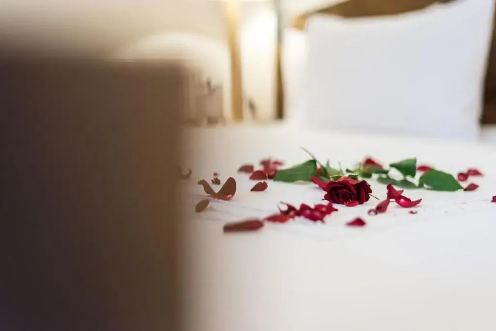 Hotel Una - Chambres