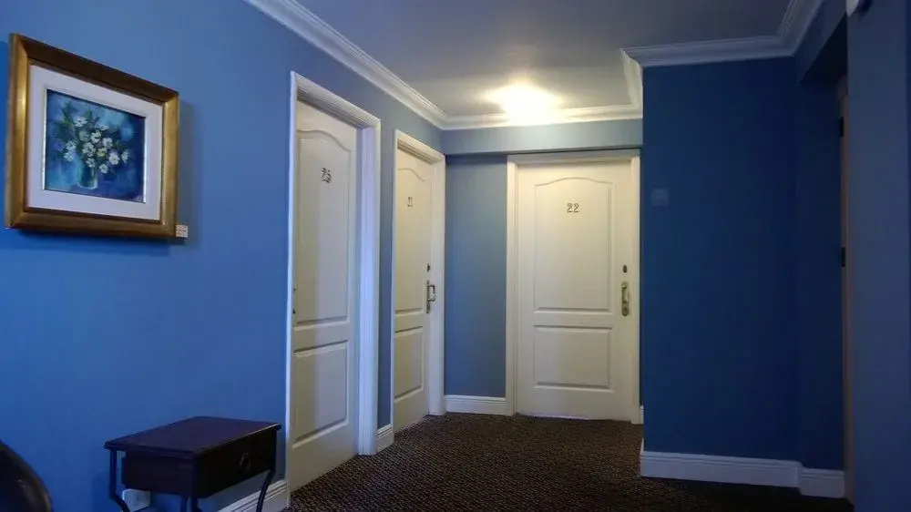 Regency Suites Boutique Hotel - Général