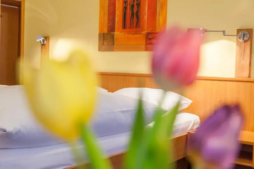 Hotel Restaurant Jägerhof - Chambres