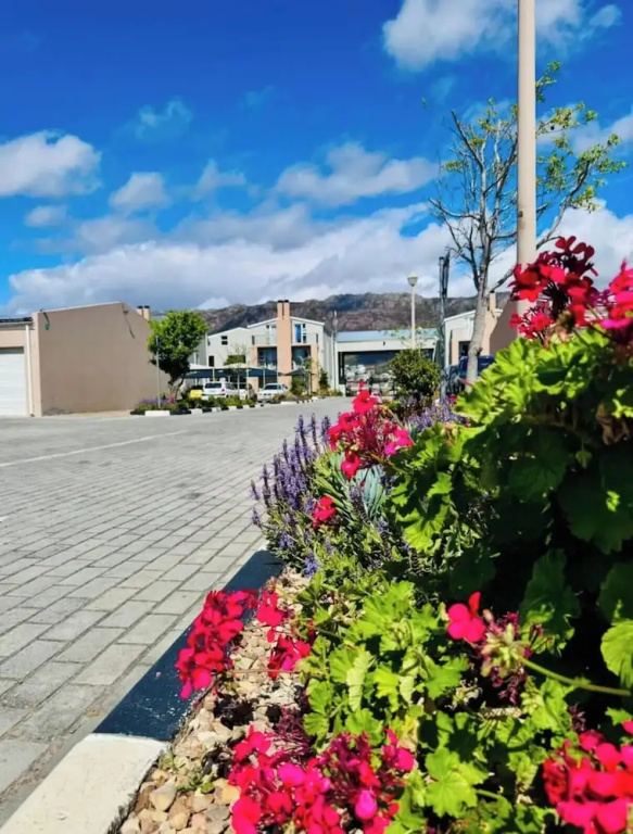 The Apartment and Estate