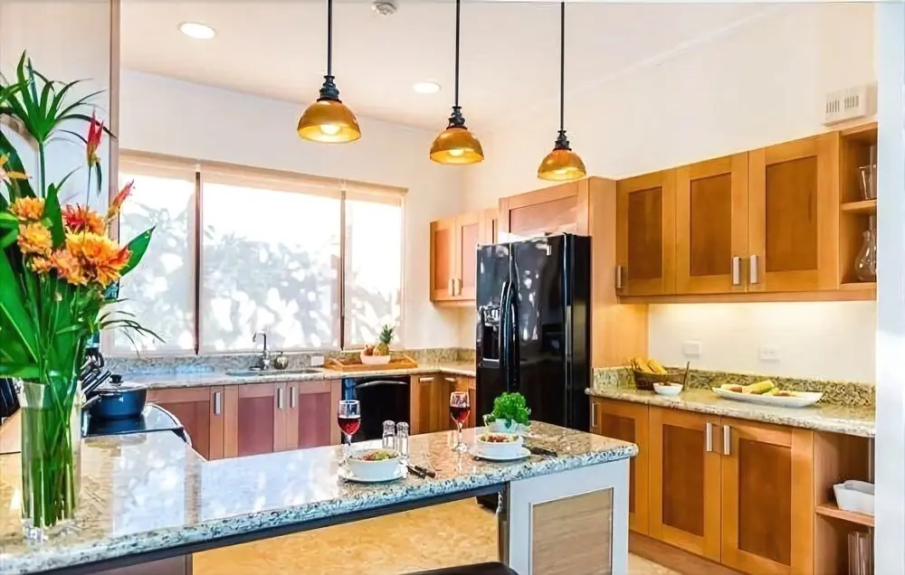 Monkey Villa - Peninsula Papagayo - фото 16