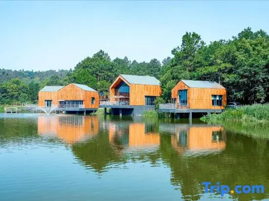 Nanjing Zhensong Vacation Apartment