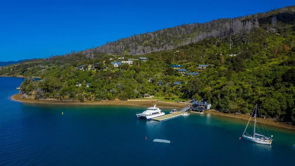 Punga Cove Resort - Général