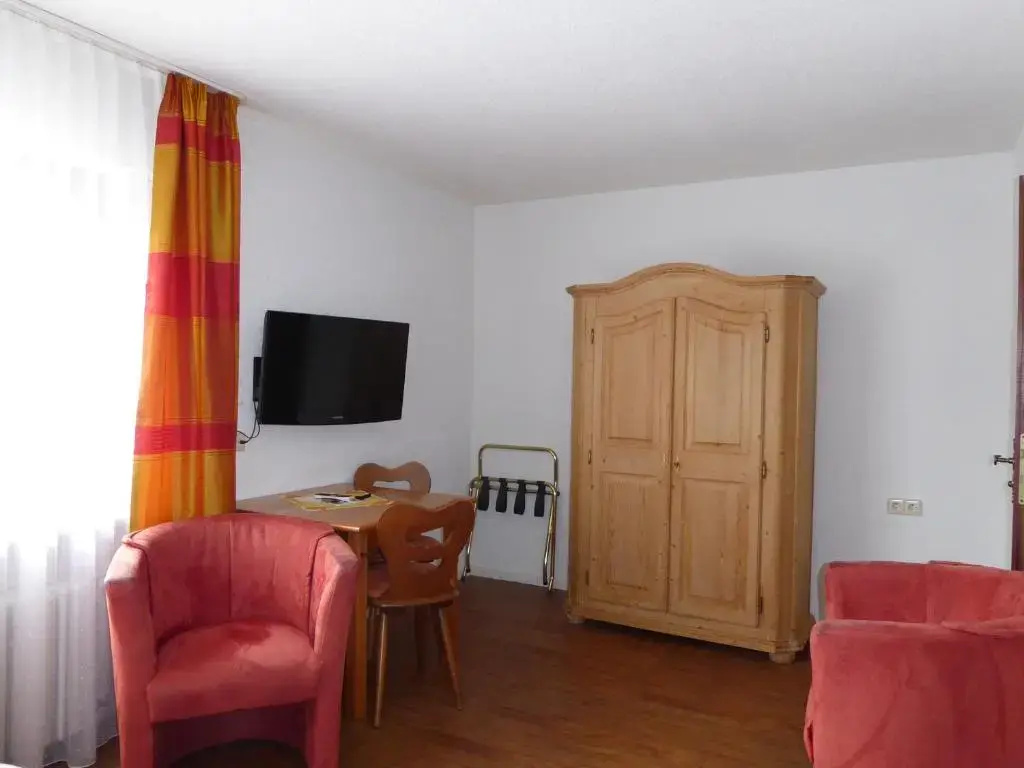 Standard Double room (full double bed)