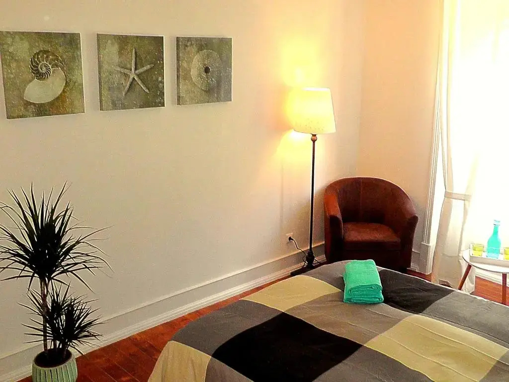 Standard Double room (full double bed)
