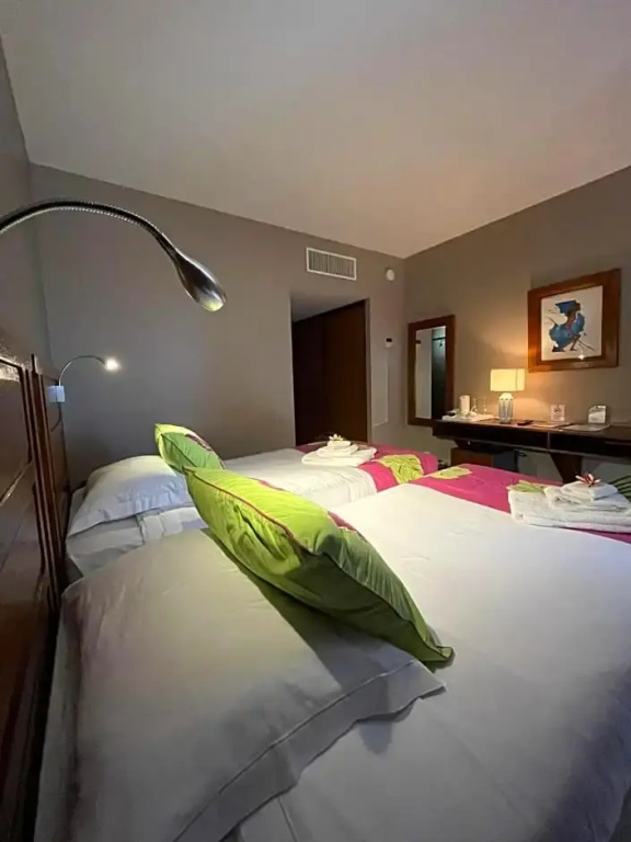 Standard Double room (twin beds)