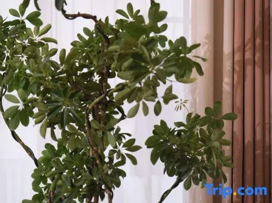 Wu Xinyueke. Rural life Mountain and Wild River Resort Meisu (Shuangxi Zhuhaijingshan Branch