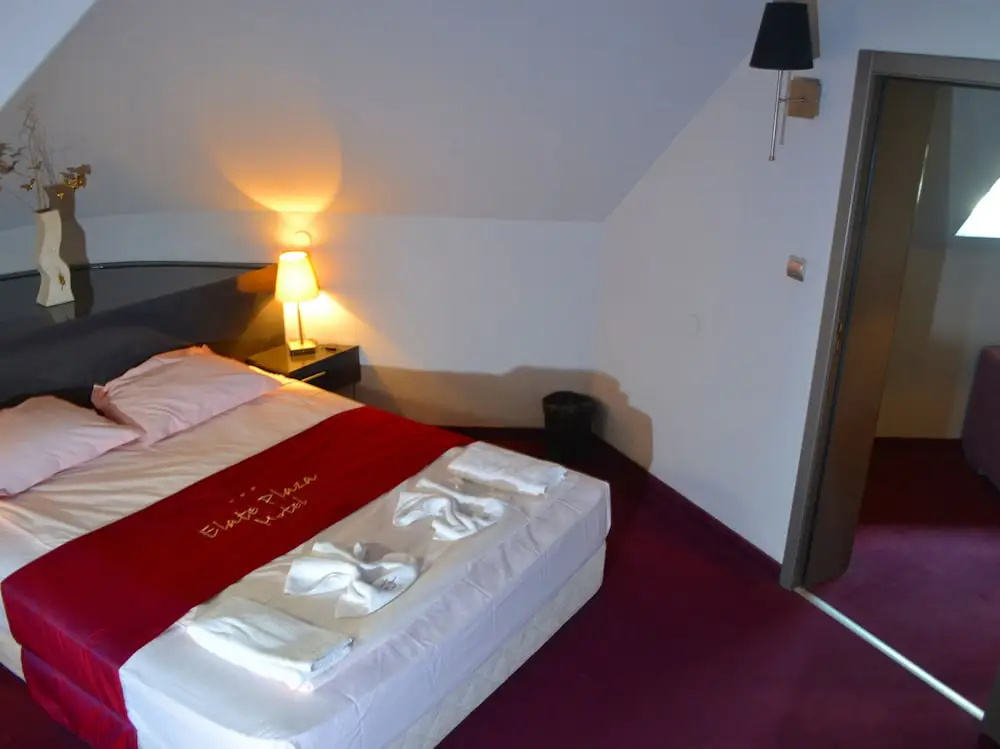 Elate Plaza Business Hotel - Chambres