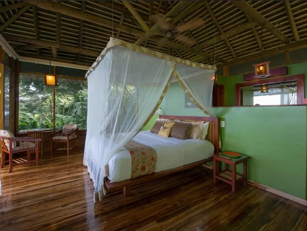 Lapa Rios - фото 17