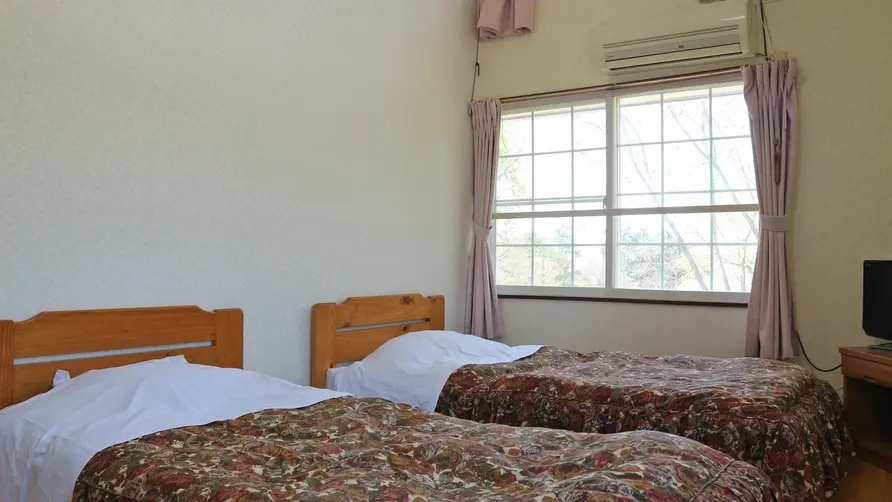 Standard Double room with mountain view (twin beds)