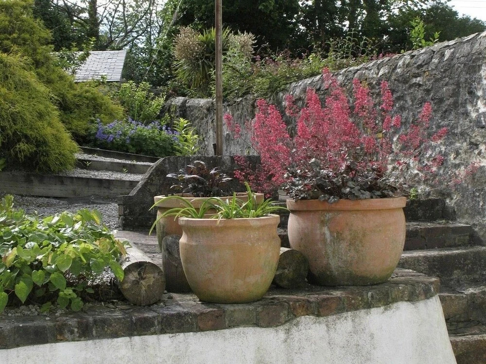 White Duck Cottage