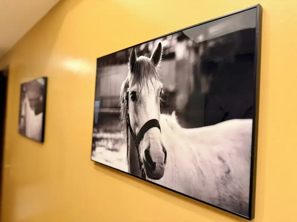 Hotel photo 32