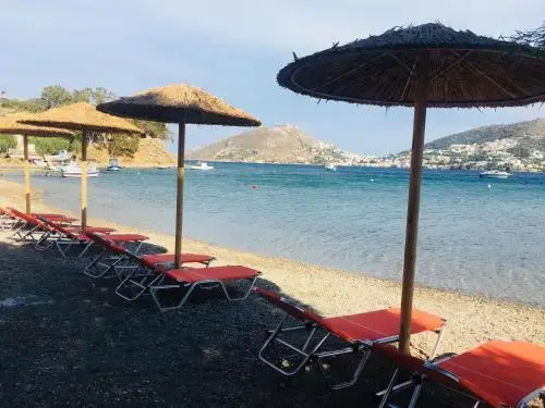 Beach & Waterfront