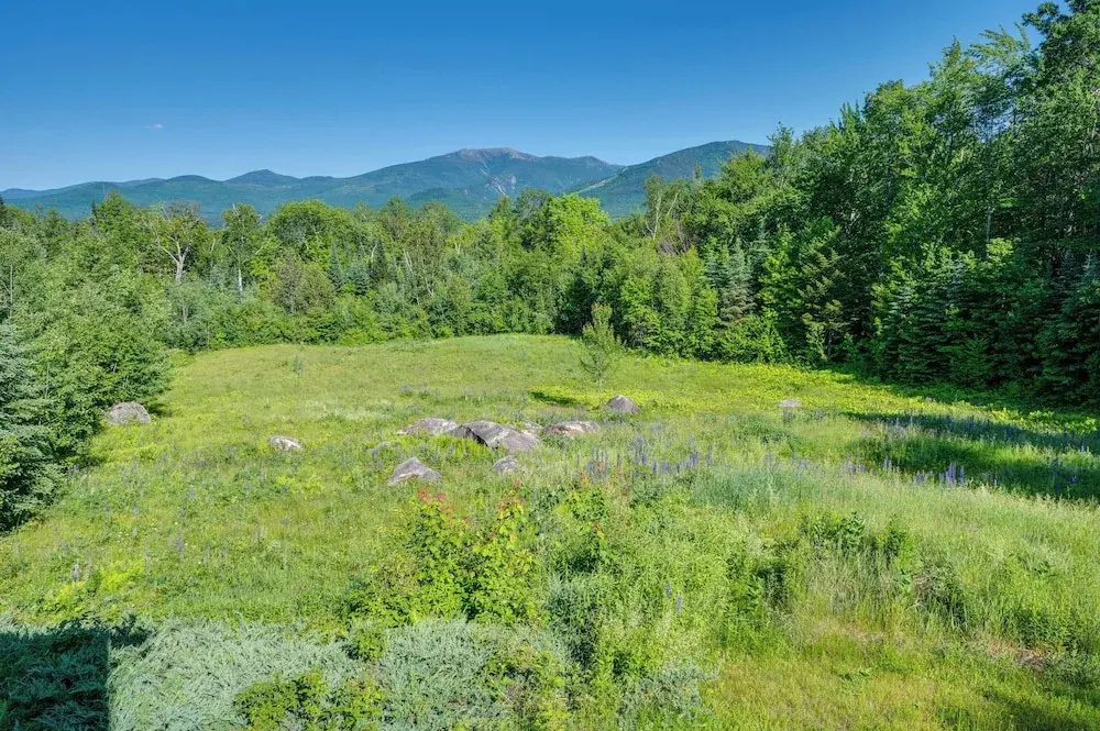 Architect-designed Franconia Home: Hot Tub & Views