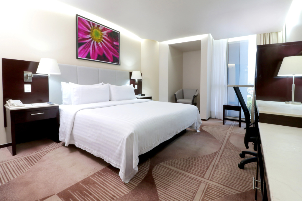 Holiday Inn Hotel & Suites Medica Sur by IHG - Général