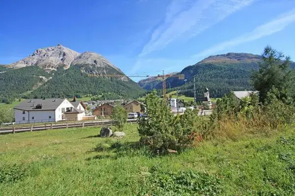 Bellavista