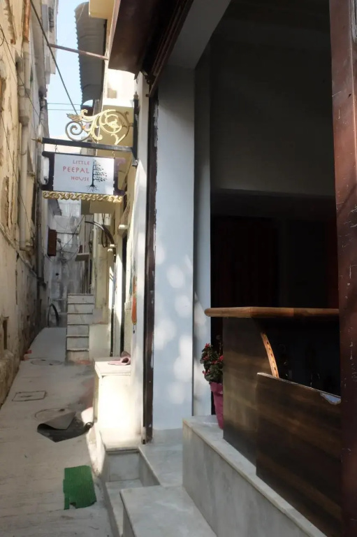 Little Peepal House
