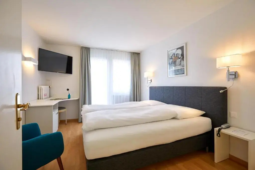 Standard Double room with lake view (full double bed)