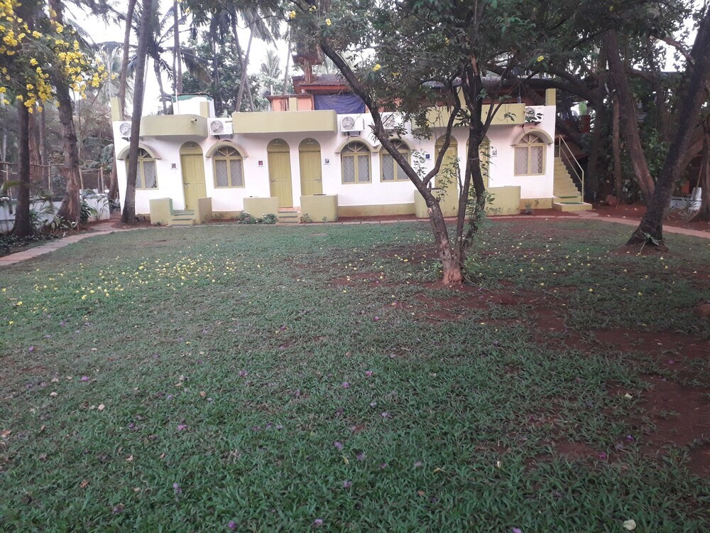 Image 11