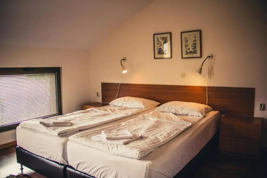 Oaza Inn - Chambres