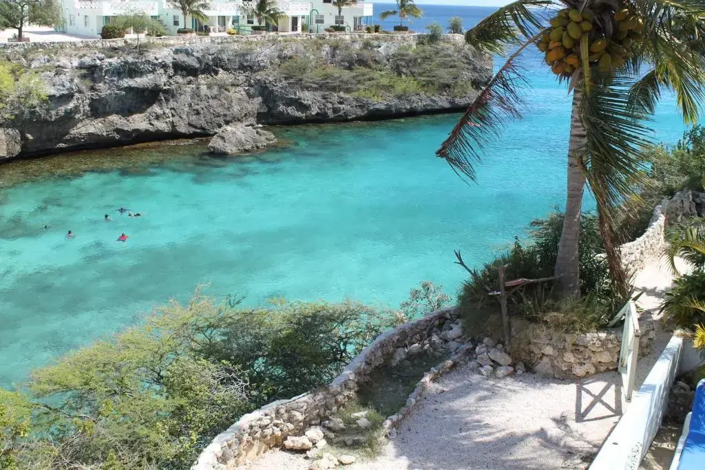 Scuba Lodge Lagun Beach - Chambres