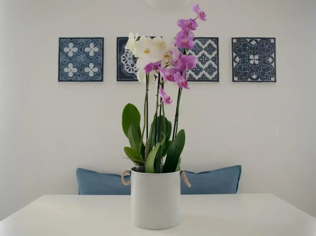 2 Bedrooms Cottage