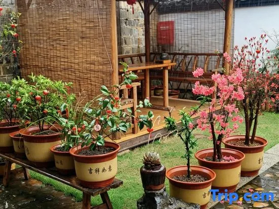 Jing Taoyuanju Homestay (Taohua Tan Scenic Area)